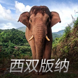cq9电子官网入口v5.0.251
